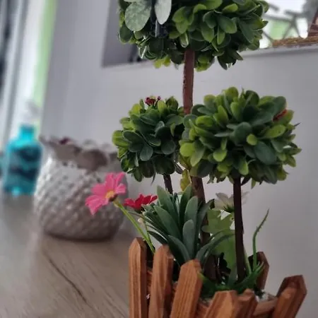 Daria * 那沃达利